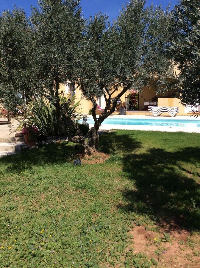 Le Claouraous Calme Bed and Breakfast Canet  Eksteriør billede